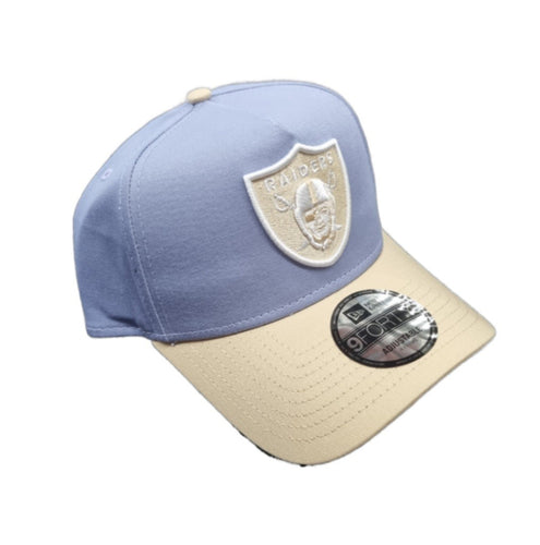 60588270 NE RAIDERS BLUEBERRY