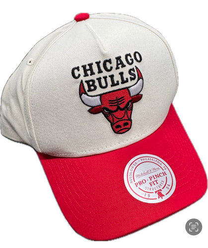 MNCG24160 BULLS PINCH CAP