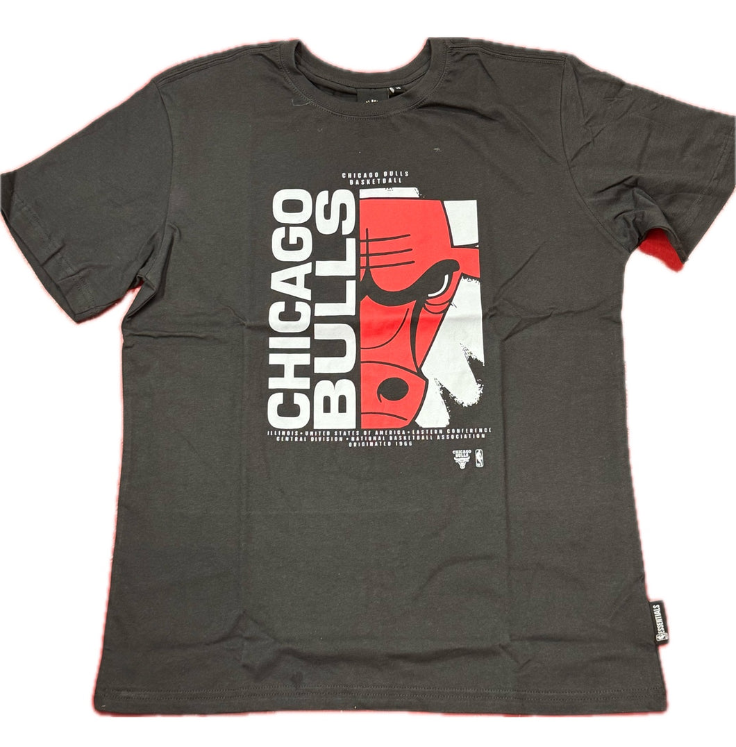 NBCGYCLS DRUMND TEE BULLS K