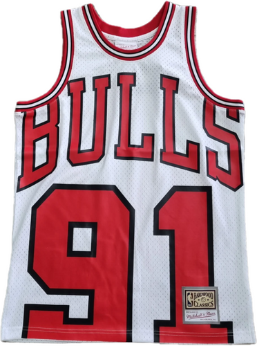 MNCG10101  BULLS RODMAN MAX JSY