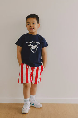 PFS10501 POP FACTORY BOARDIES