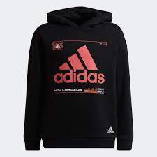 ADIDAS K ARKD3 HOOD HA3925