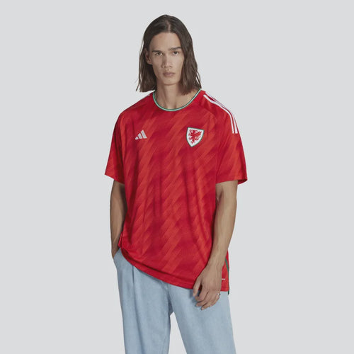 HC4176 ADIDAS FAW HM JSY WALES