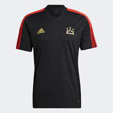 HI3795 ADIDAS SALAH TEE