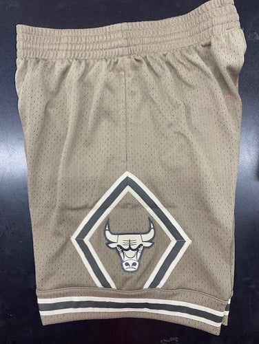 Mitchell & Ness CHICAGO BULLS ASTRO SWINGMAN SHORT - Sports shorts - grey 